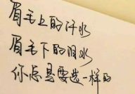 名人名言名句优美句子摘抄,名人名言与优美句子的心灵灯塔