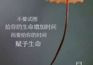 励志的句子精致短句,精选励志短句激励人生