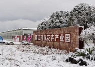 时政新闻眼丨习赴云南丽江考察关注这座名城的“古与今”？今日热点精编