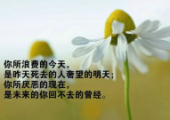 适合发朋友圈正能量短句,激励心灵，点亮生活
